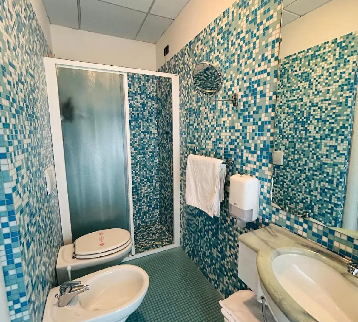 Hotel Milano Cesenatico 3*,
